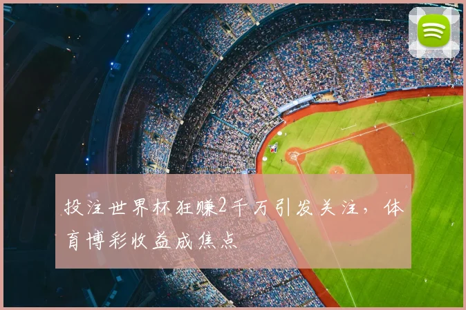 投注世界杯狂赚2千万引发关注，体育博彩收益成焦点