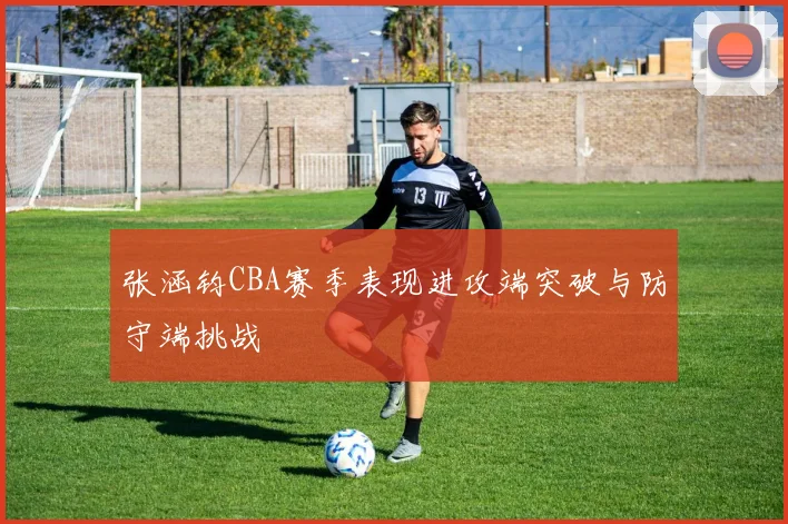 张涵钧CBA赛季表现进攻端突破与防守端挑战