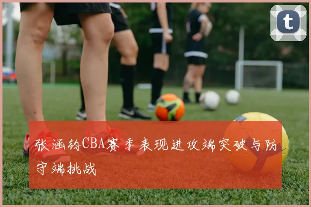 张涵钧CBA赛季表现进攻端突破与防守端挑战