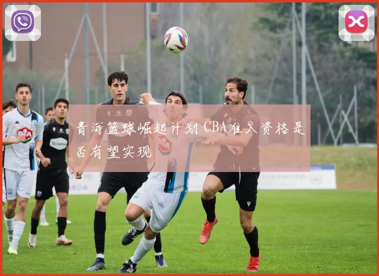 青海篮球崛起计划 CBA准入资格是否有望实现