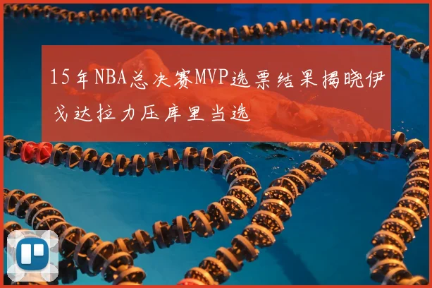 15年NBA总决赛MVP选票结果揭晓伊戈达拉力压库里当选