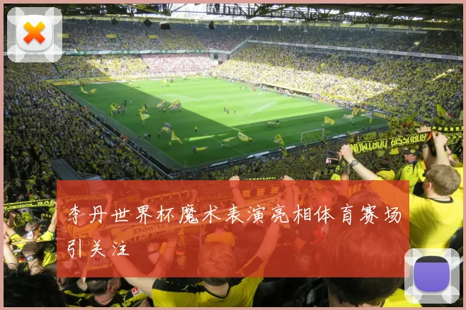 李丹世界杯魔术表演亮相体育赛场引关注