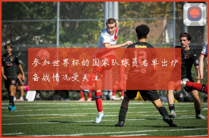 参加世界杯的国家队球员名单出炉备战情况受关注