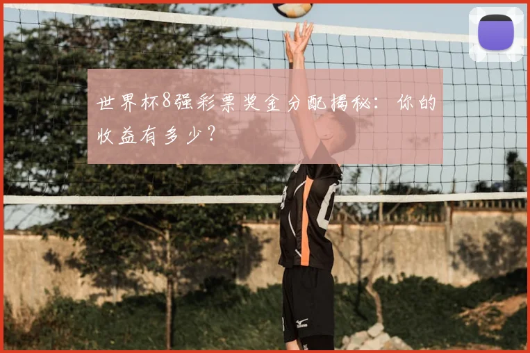 世界杯8强彩票奖金分配揭秘：你的收益有多少？