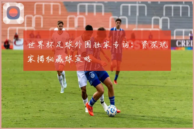 世界杯足球外围独家专访：资深玩家揭秘赢球策略