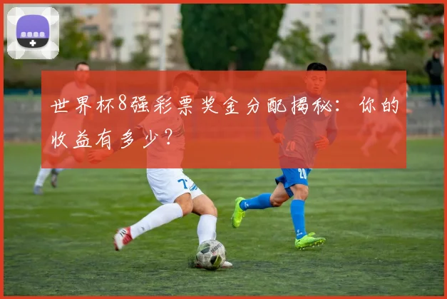世界杯8强彩票奖金分配揭秘：你的收益有多少？